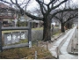 20030223_1321 Philosophers' Walk.JPG